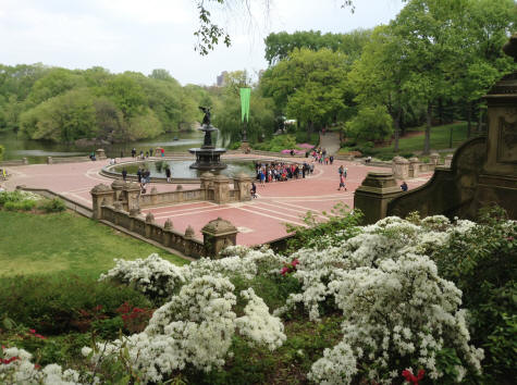 Central Park in New York City